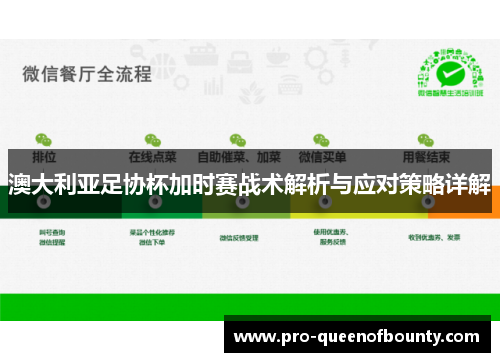 澳大利亚足协杯加时赛战术解析与应对策略详解