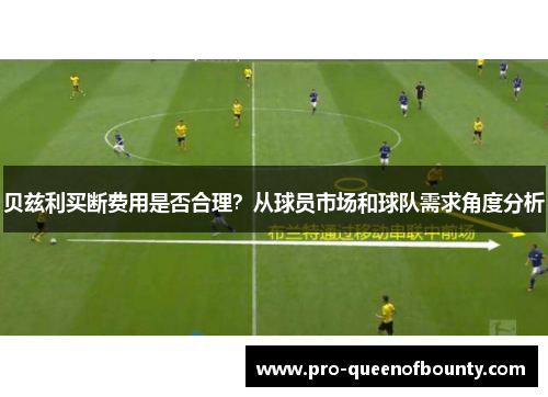贝兹利买断费用是否合理?从球员市场和球队需求角度分析 贝兹利买断费用是否合理?从球员市场和球队需求角度分析