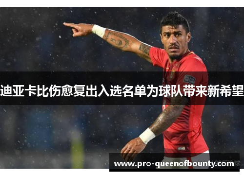 迪亚卡比伤愈复出入选名单为球队带来新希望 迪亚卡比伤愈复出入选名单为球队带来新希望