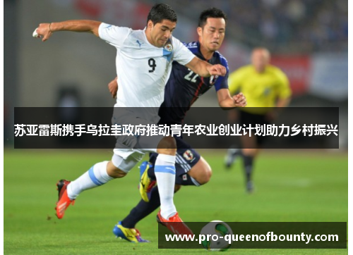 苏亚雷斯携手乌拉圭政府推动青年农业创业计划助力乡村振兴